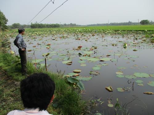 mô hình nuôi cá nước ngọt cần sự góp ý